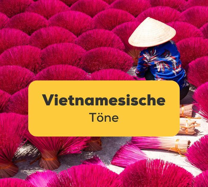 Vietnamesische Töne lernen mit Ling