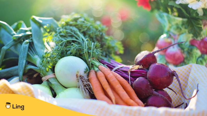 Verschiedene Gemüsesorten wie Zwiebeln, Karotten und Rote Bete. Erfahre mit der Ling-App, was Gemüse auf Armenisch bedeutet.