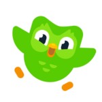 apps to learn Chinese - A photo of Duolingo logo