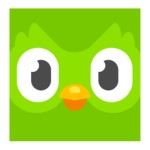 free language learning apps - A photo of Duolingo logo