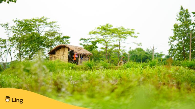 Bauernhaus mit Garten im indischen Dorf. Erfahre mehr über Hobbys auf Malayalam und lerne Malayalam mit der Ling-App.