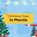 Christmas Trees In Manila