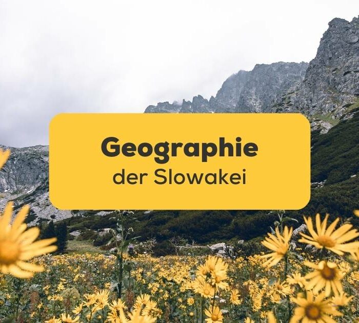 Blick von einer Blumenwiese in der Hohen Tatra. Lerne mehr über die Geographie der Slowakei mit der Ling-App.