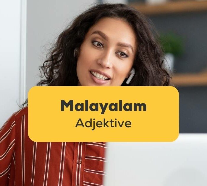 Malayalamlehrerin zeigt Schülern online Grammatikregeln. Lerne alles über Malayalam Adjektive mit der Ling-App.
