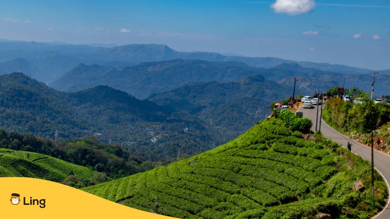 Tata Teeplantagen, Munnar, Kerala, Indien. Genieße deine Sommerferien in Kerala mit der Ling-App.