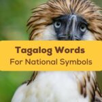 Tagalog Words For National Symbols Ling App