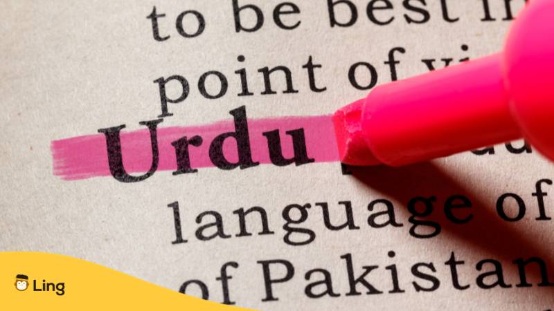Definition von Urdu auf Englisch. Erfahre, warum es kein Urdu bei Duolingo gibt. Lerne Urdu mit der Ling-App.

