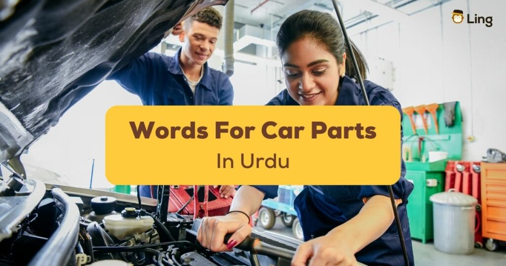 Urdu Words For Car Parts Ling App