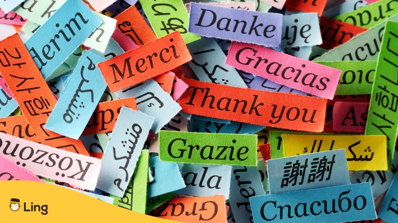 merci en albanais
merci écrit en plusieurs langues sur des morceaux de papier coloré 