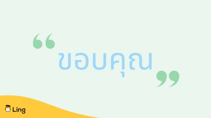 merci en thaï
koop kun écrit en bleu sur un fond vert clair