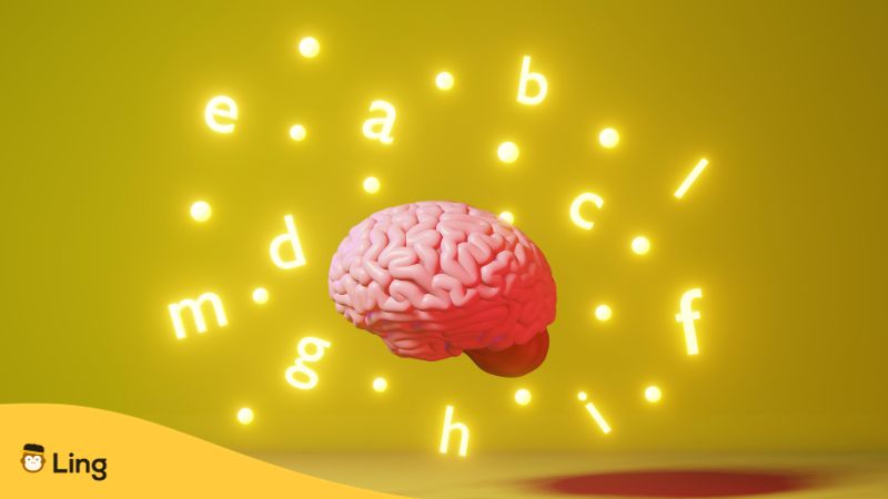 prononciation en albanais
cerveau en 3D entouré de lettres lumineuses 