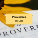 proverbes en lao les proverbes sur page blanche à côté d'une fleur jaune