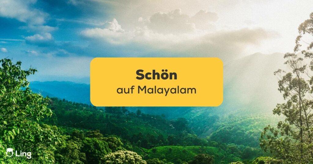 Wunderschöner Blick von den Bergen Keralas. Lerne schön auf Malayalam auszudrücken mit der Sprachlern-App von Ling.