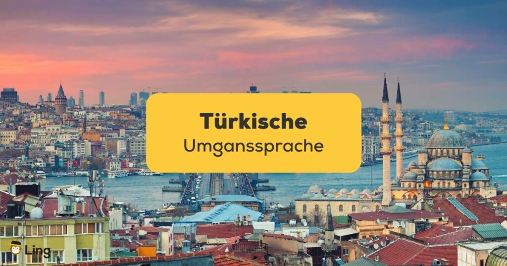Panoramabild von Istanbul in der Türkei. Lerne türkische Umgangssprache und 20 türkische Slang-Wörter, die jeder Muttersprachler verwendet. Lerne Türkisch mit der Ling-App.