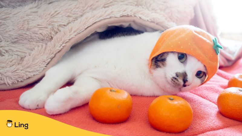 일본어 카와이 02 귀여운 고양이 Japanese Kawaii 02 Cute Cat