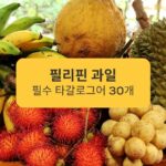 필리핀 과일 필수 타갈로그어 30개 30 essential Filipino fruits in Tagalog