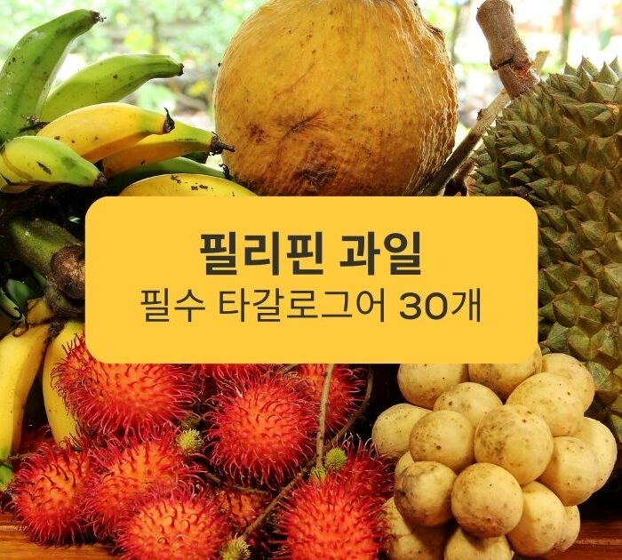 필리핀 과일 필수 타갈로그어 30개 30 essential Filipino fruits in Tagalog