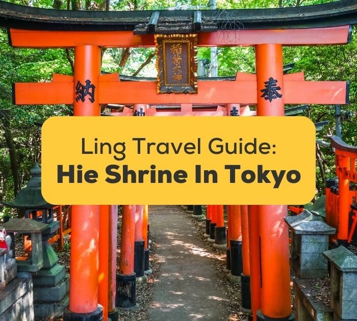 #1 Best Guide Hie Shrine In Tokyo