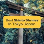 7 Best Shinto Shrines In Tokyo, Japan