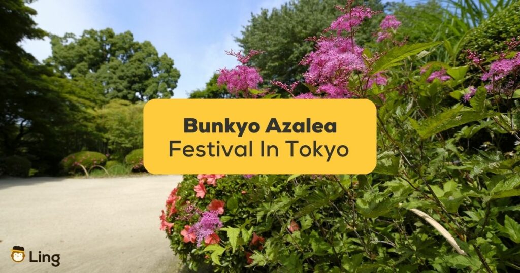 Bunkyo Azalea Festival At Nezu Shrine