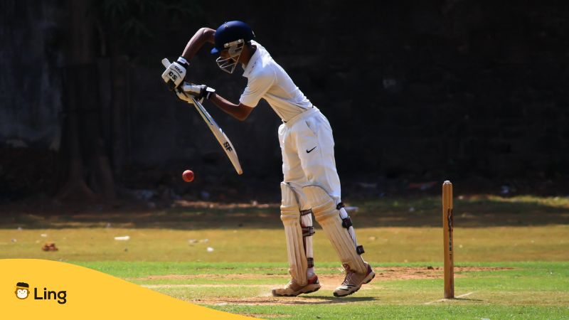 Cricket_Punjabi Sports Vocabulary_Ling App