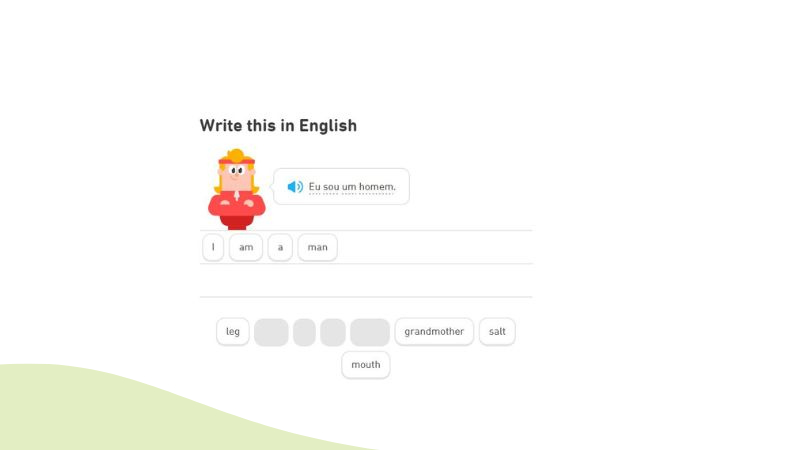 Duolingo review review desktop version