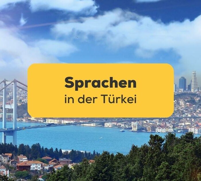 Brücke in Istanbul, Türkei. Lerne 10 Verborgene und Beeindruckende Gesprochene Sprachen in der Türkei, von denen du nichts wusstest. Lerne Türkisch mit der Ling-App.