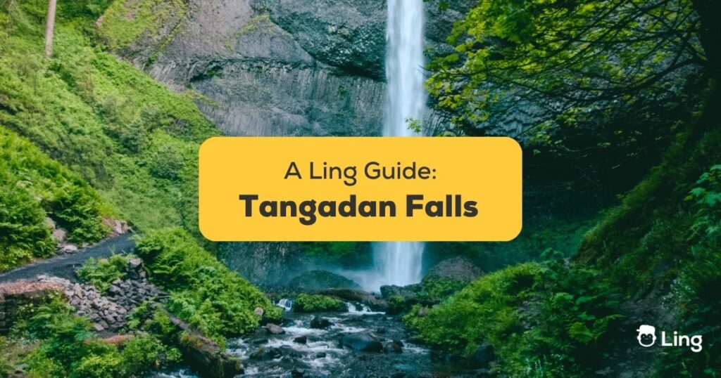 Tangadan Falls #1 Best Travel Guide For Expats