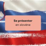 se présenter en slovène Illustration du drapeau slovène au pinceau