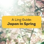 #1 Best Guide Japan In Spring