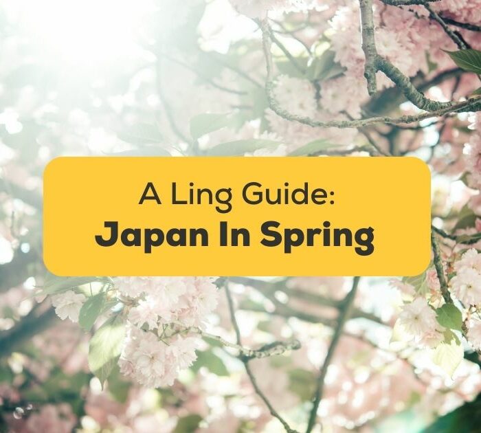 #1 Best Guide Japan In Spring