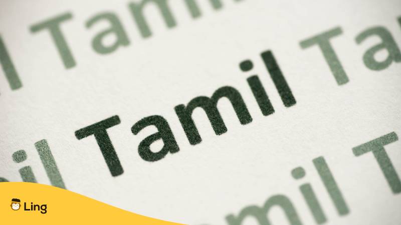 Wort Tamil Sprache auf Papier gedruckt Makro. Lerne wie du Tamil schnell lernen kannst mit der Ling-App.
