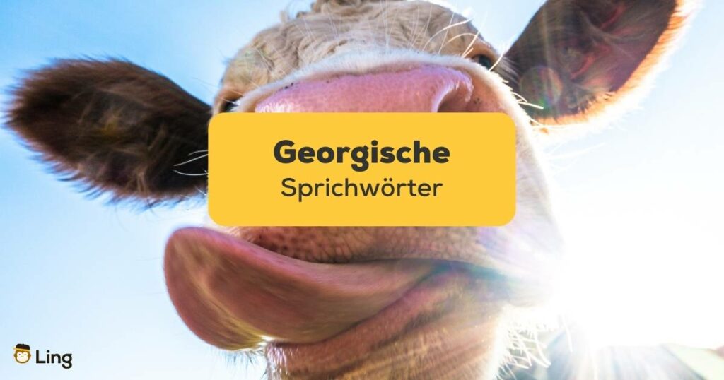 Witzige Kuh, die ihre Zunge herausstreckt. Lerne Georgische Sprichwörter mit der Ling-App.