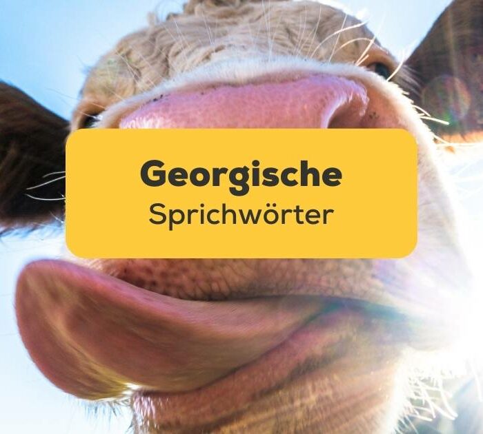 Witzige Kuh, die ihre Zunge herausstreckt. Lerne Georgische Sprichwörter mit der Ling-App.