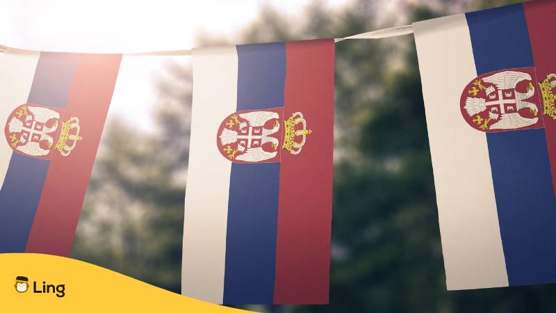 Drei serbische Flaggen aufgehängt. Erfahre, warum es kein Serbisch auf Babbel gibt und lerne  4 faszinierende Alternativen!