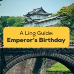 The Emperor's Birthday In Japan