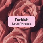 Turkish Love Phrases-Ling