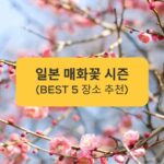 일본 매화꽃 시즌 (BEST 5 장소 추천) Plum Blossom Season in Japan (BEST 5 Places Recommended)