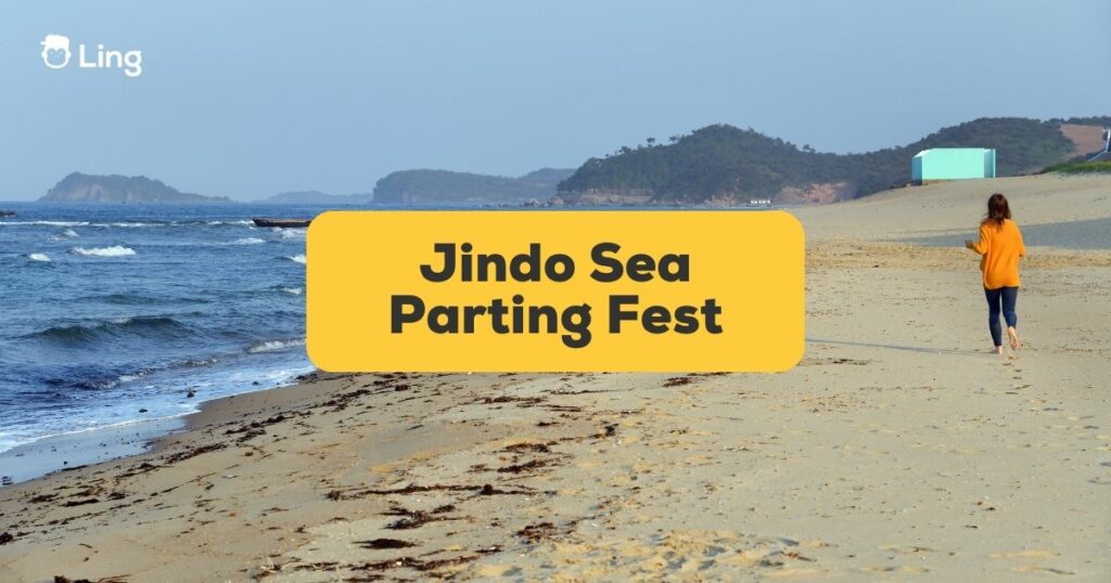 #1 Best Guide Jindo Sea Parting Festival In Korea