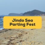 #1 Best Guide Jindo Sea Parting Festival In Korea