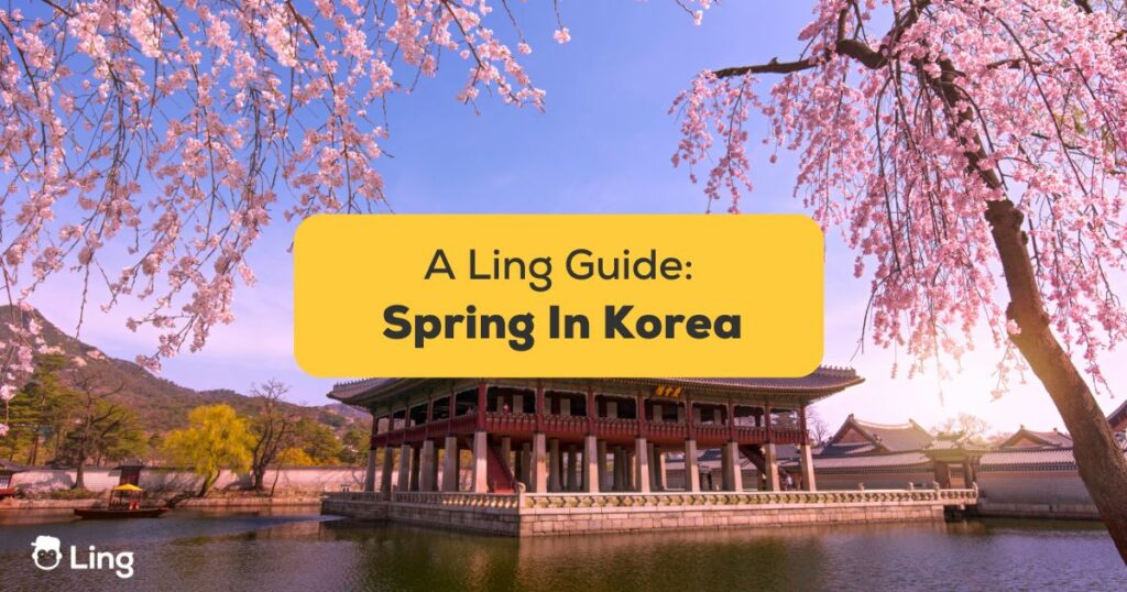 #1 Best Guide Spring In Korea