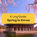 #1 Best Guide Spring In Korea
