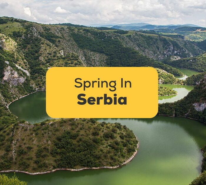 #1 Best Guide Spring In Serbia