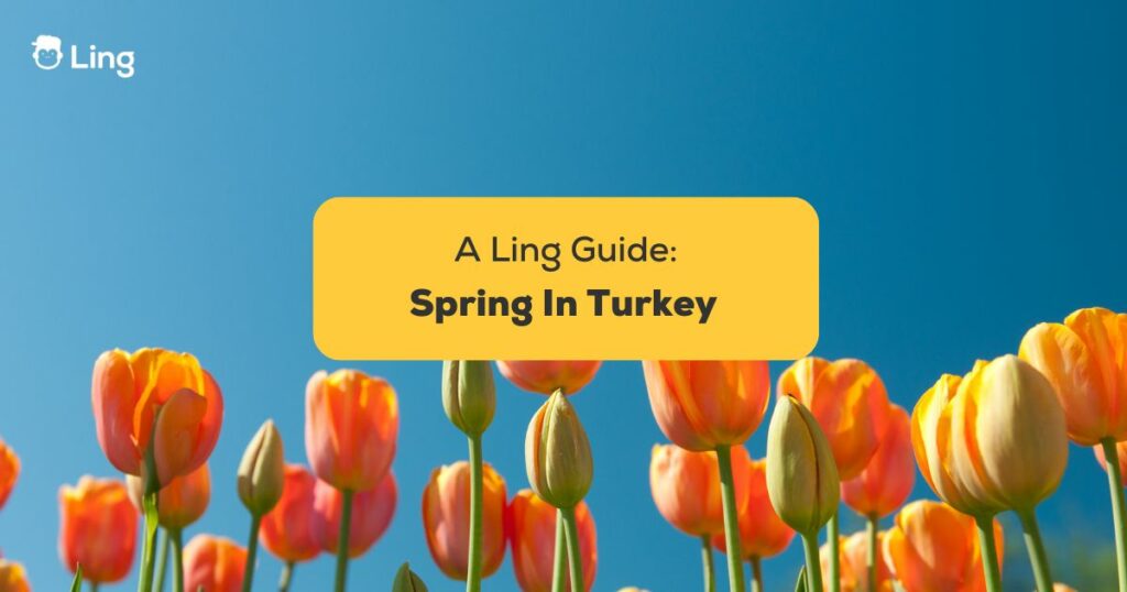 #1 Best Guide Spring In Turkey