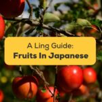 Fruits In Japanese