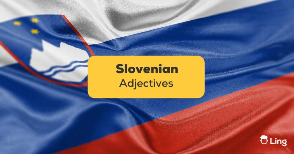 Slovenian adjectives