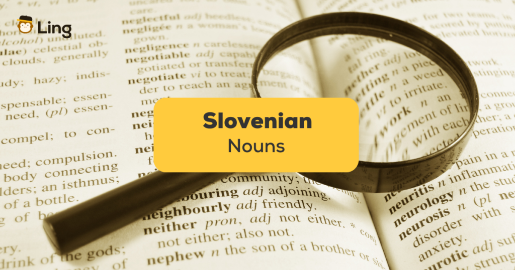 Slovenian Nouns