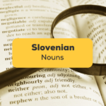 Slovenian Nouns