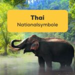 Das Thai Nationalsymbol „Elefant“ in der Wildnis von Thailand. Entdecke 8 interessante Thai Nationalsymbole mit Ling!