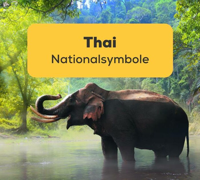 Das Thai Nationalsymbol „Elefant“ in der Wildnis von Thailand. Entdecke 8 interessante Thai Nationalsymbole mit Ling!